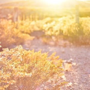 Meet your Posher, Tiff